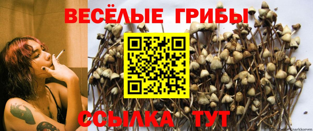 Псилоцибиновые грибы MAGIC MUSHROOMS  наркотики  Находка  Вход с VPN 